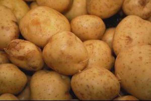 5 ton patates &ccedil;aldılar!
