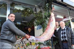 150 kiloluk yayın balığı