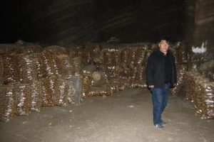 Bu defa patates &ccedil;aldılar