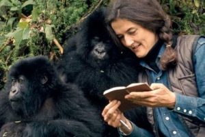 Google'dan Dian Fossey doodle'ı