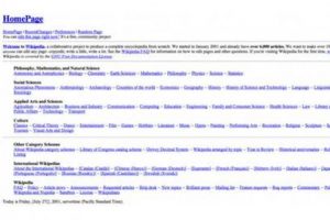 Wikipedia 13 yaşına bastı
