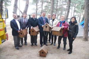 Belediyeden kuşlara ev