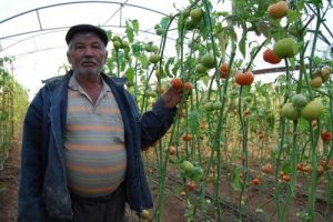 &Uuml;reticisinin y&uuml;z&uuml;n&uuml; g&uuml;ld&uuml;rd&uuml;