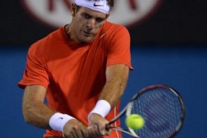 Del Potro'dan erken veda