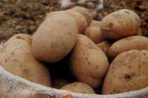 Patates fiyatına &ouml;nlem