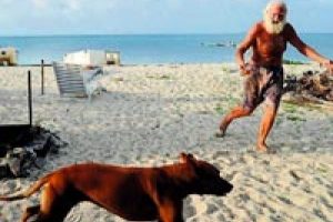 Robinson Crusoe'su adadan atılabilir