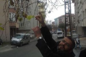 Kış ortasında &uuml;z&uuml;m verdi