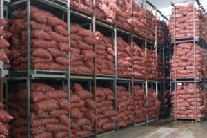 İthalat korkusu patatesi sattırıyor