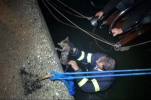 Kedi film gibi bir operasyonla kurtarıldı
