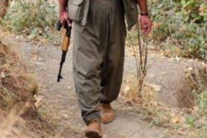 Bir PKK'lı teslim oldu