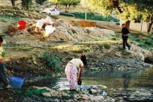T&uuml;rk y&ouml;netmene Avrupa'dan &ouml;d&uuml;l