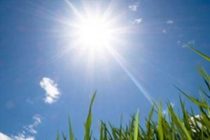 Meteoroloji'den sıcak hava m&uuml;jdesi