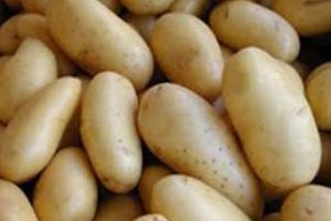 Patates fiyatları g&ouml;z&uuml;n&uuml; Adana'ya dikti