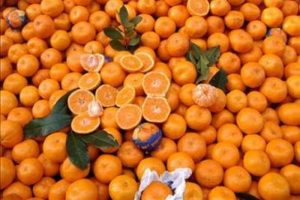 Edremit'te denizden balık değil, mandalina &ccedil;ıkıyor