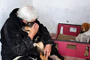 Bodrum'da hayvan katliamına tepki
