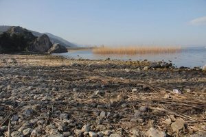 İznik G&ouml;l&uuml;'nde tehlike &ccedil;anları