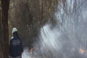İstanbul'da orman yangını