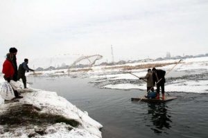 Eksi 20 derecede balık avı