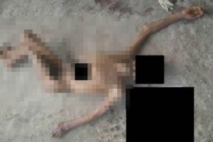 Suriye'deki işkence fotoğraflarına tepkiler