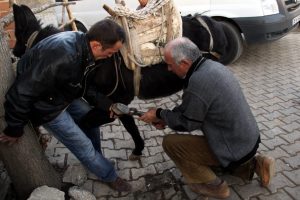 Bursalı iki asırlık nalbant aile, trakt&ouml;re yenildi