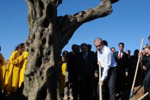 EXPO 2016 i&ccedil;in ilk ağacı Bakan dikti