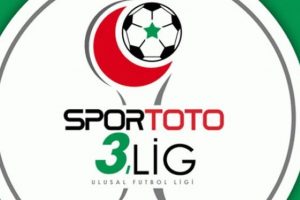 Spor Toto 3.Lig'de 19.hafta