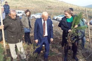 Uğur Mumcu anısına fidan diktiler