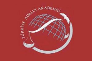 Yurtdışı programlarına bakanlık ayarı