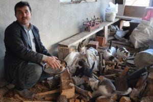 K&ouml;yde tek başına yaşıyor
