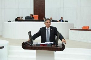 Demir&ouml;z'&uuml;n g&uuml;ndemi 2B arazileri