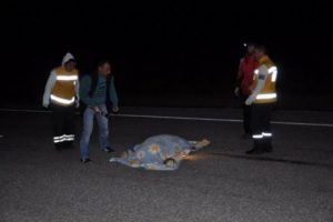 Par&ccedil;alanmış cesedi g&ouml;renler dehşete d&uuml;şt&uuml;