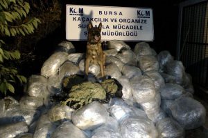Bursa'da 5 ton esrar yakalandı