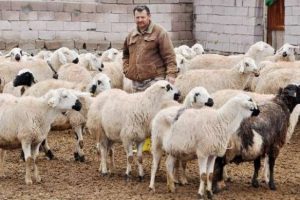 4 bin lira maaşlı &ccedil;obana kız yok