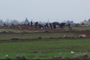 T&uuml;rkmenler T&uuml;rkiye'ye sığınıyor