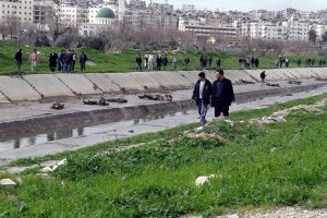 Katliam fotoğrafları UCM'ye g&ouml;t&uuml;r&uuml;lecek