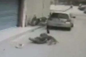 K&ouml;pek sahibini par&ccedil;aladı, feci şekilde can verdi