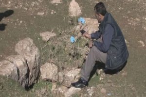 Kadın sığınma evinde kalmamış