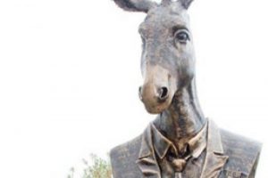 K&uuml;rdistan Eşekler Partisi kendini feshetti!
