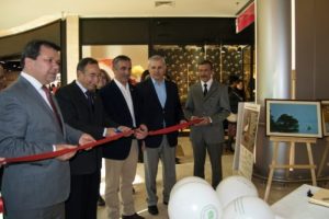 Sulak alanlar fotoğraf karelerinde