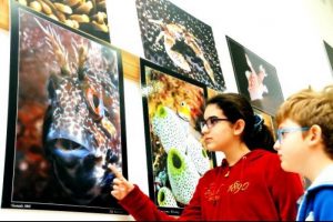Su altı fotoğrafları hayran bıraktı