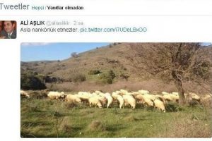 Ak Parti  Milletvekili'nden anlamlı tweet