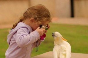 Haydi &ccedil;ocuklar fotoğraf &ouml;ğrenmeye