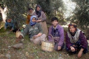 Başak&ccedil;ılar iş başında