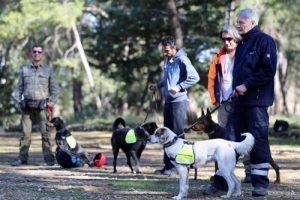 Sokak k&ouml;pekleri hayat kurtaracak