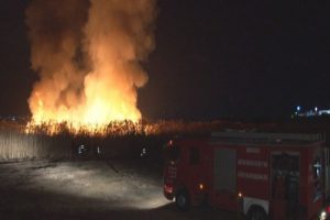 G&ouml;ldeki sazlıklar yandı, itfaiye m&uuml;dahalede zorlandı