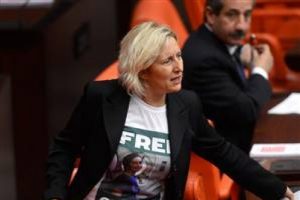 CHP'li vekil kediye işkencenin peşine d&uuml;şt&uuml;