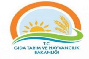 Okul kantinlerine sıkı denetim