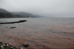 Zonguldak'ta şaşırtan olay