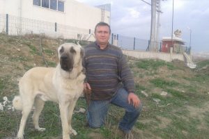 Bursa'da 10 bin TL değerindeki k&ouml;peği &ccedil;aldılar