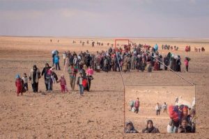 &Ccedil;&ouml;lde tek başına değilmiş! İşte yeni fotoğraf